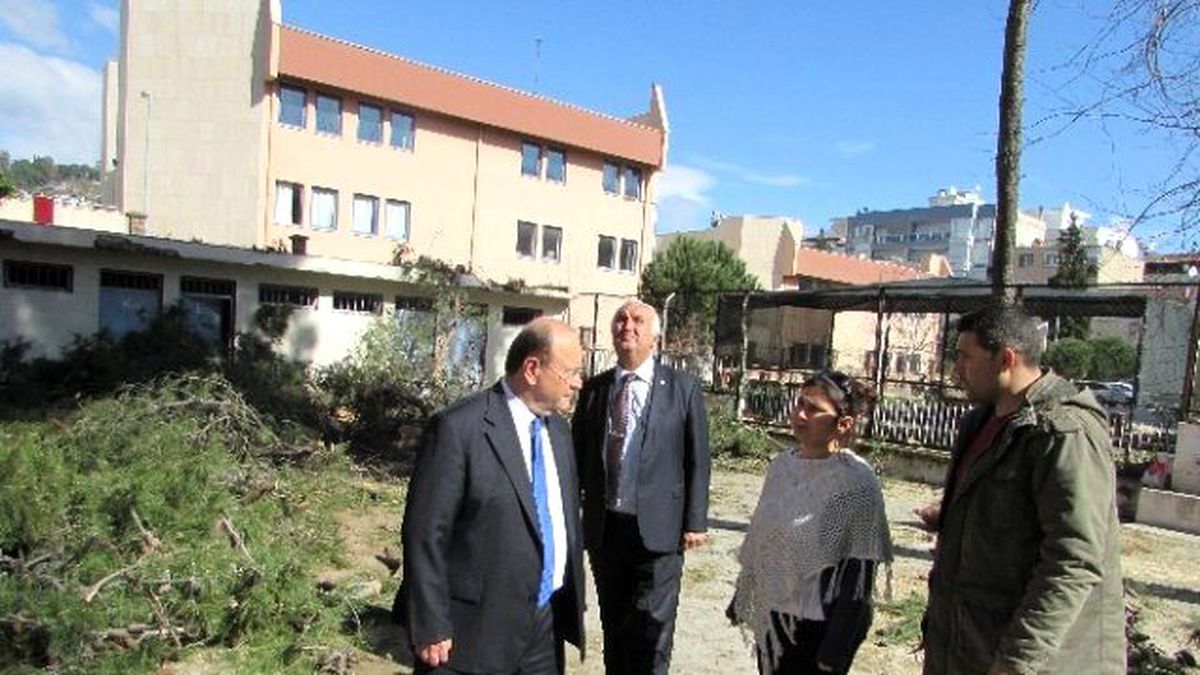 Efeler\'de Tehlike Arz Eden Ağaç Budandı