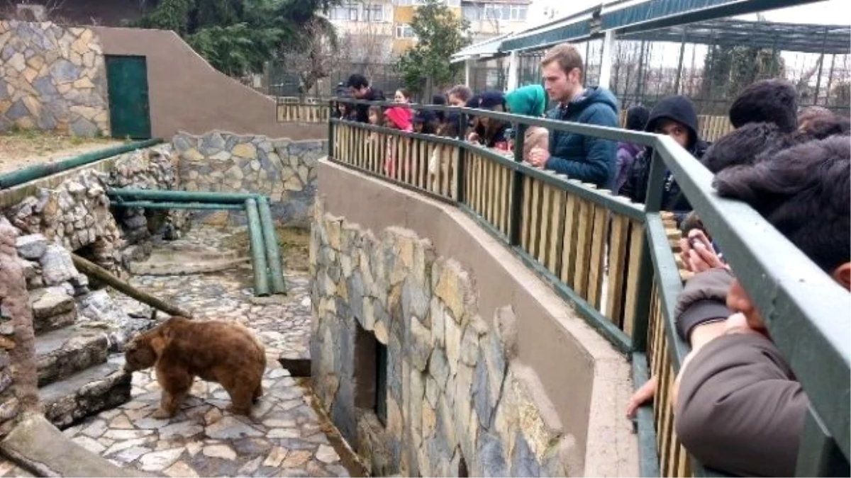 İzciler Hayvanat Bahçesini Ziyaret Etti