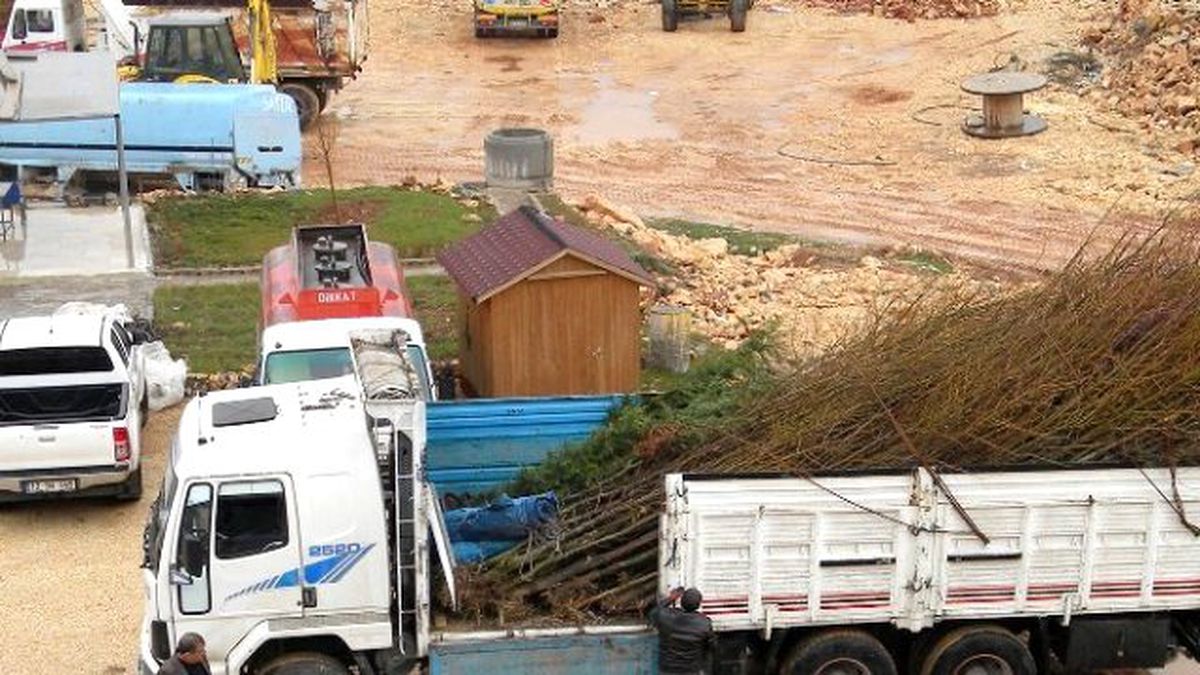 Mardin Artuklu Üniversitesi\'ne Ağaç Desteği