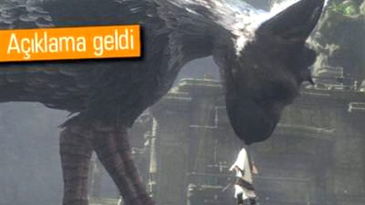 The Last Guardian Ne Durumda?