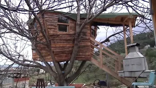 Torunu İçin Ağaç Ev Yaptı Son Dakika