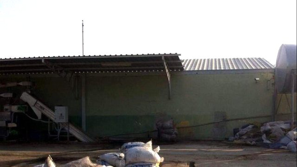 Yemek Molası Verince 700 Kilo Zeytini Çalındı