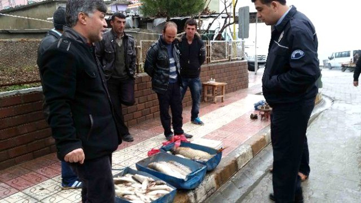 Barajda 13 Kiloluk Sazan Balığı Yakalandı