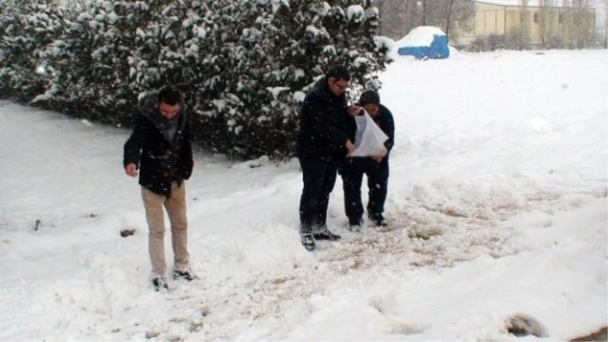 Ereğli\'de Karda Aç Kalan Kuşlara Gazeteciler Yem Bıraktı