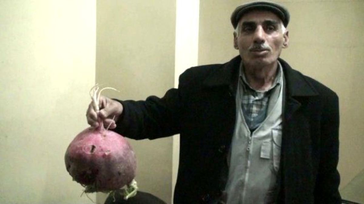 Kızıltepeli Çiftçi 4 Kilogram Ağırlığında Turp Yetiştirdi