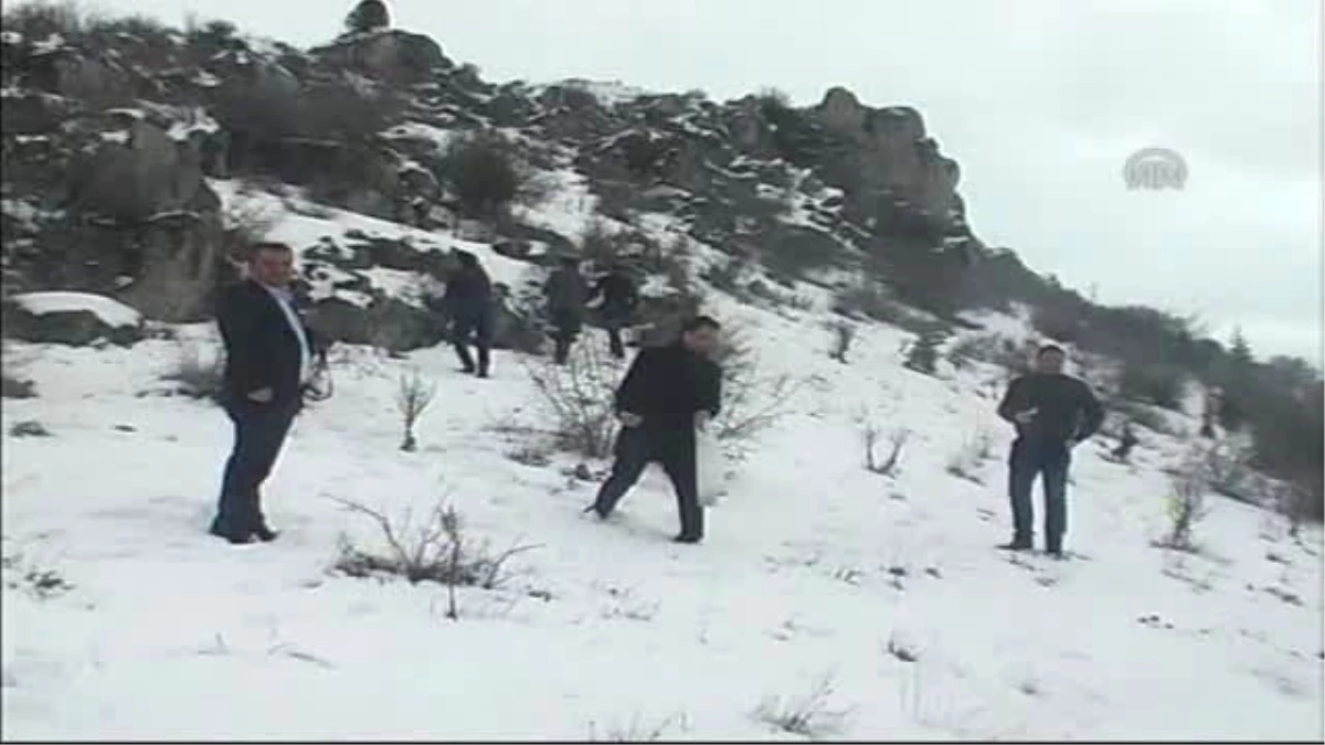 Turhal'da Yaban Hayvanları İçin Doğaya Yem Bırakıldı