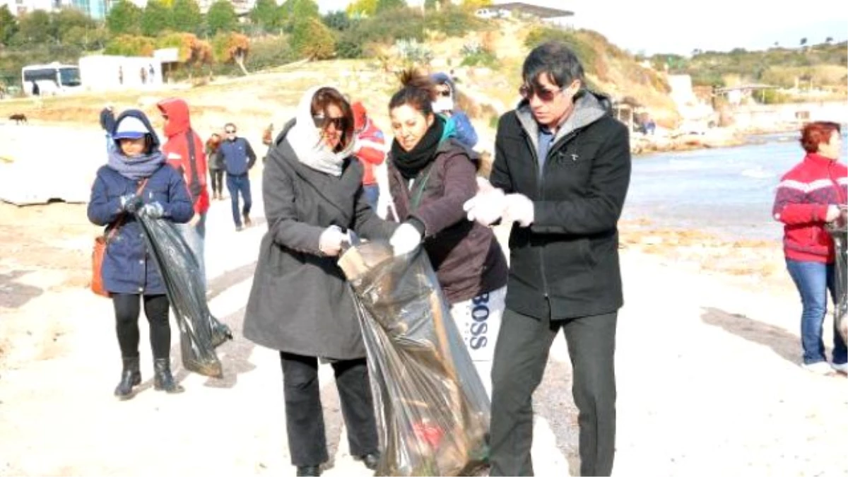 Avrupalı Gençler, Didim Kıyılarını Temizledi