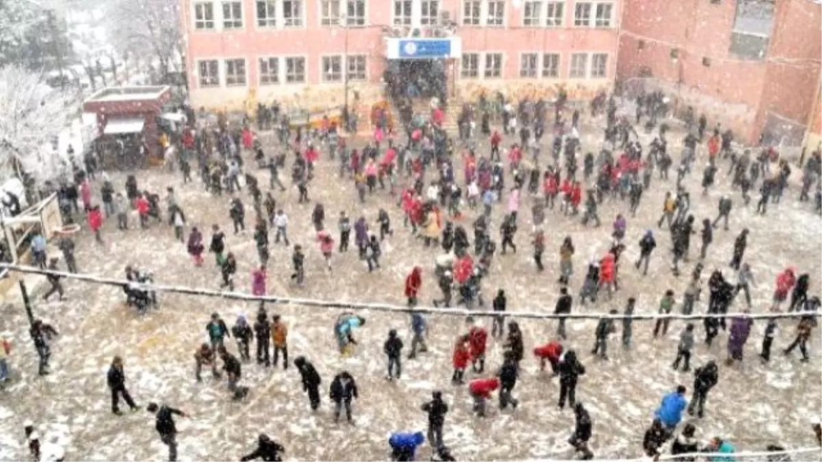 Gaziantep, Şanlıurfa ve Kilis Kara Teslim (2)