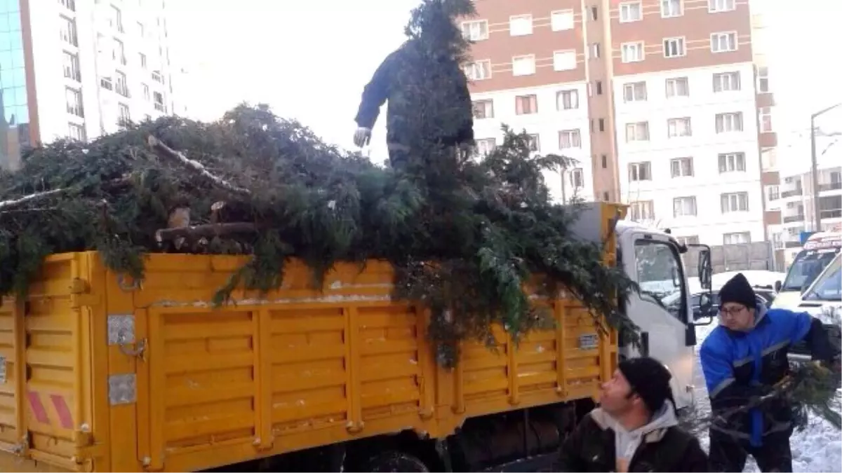 Karda Devrilme Tehlikesi Olan Ağaçlara Müdahale Edildi