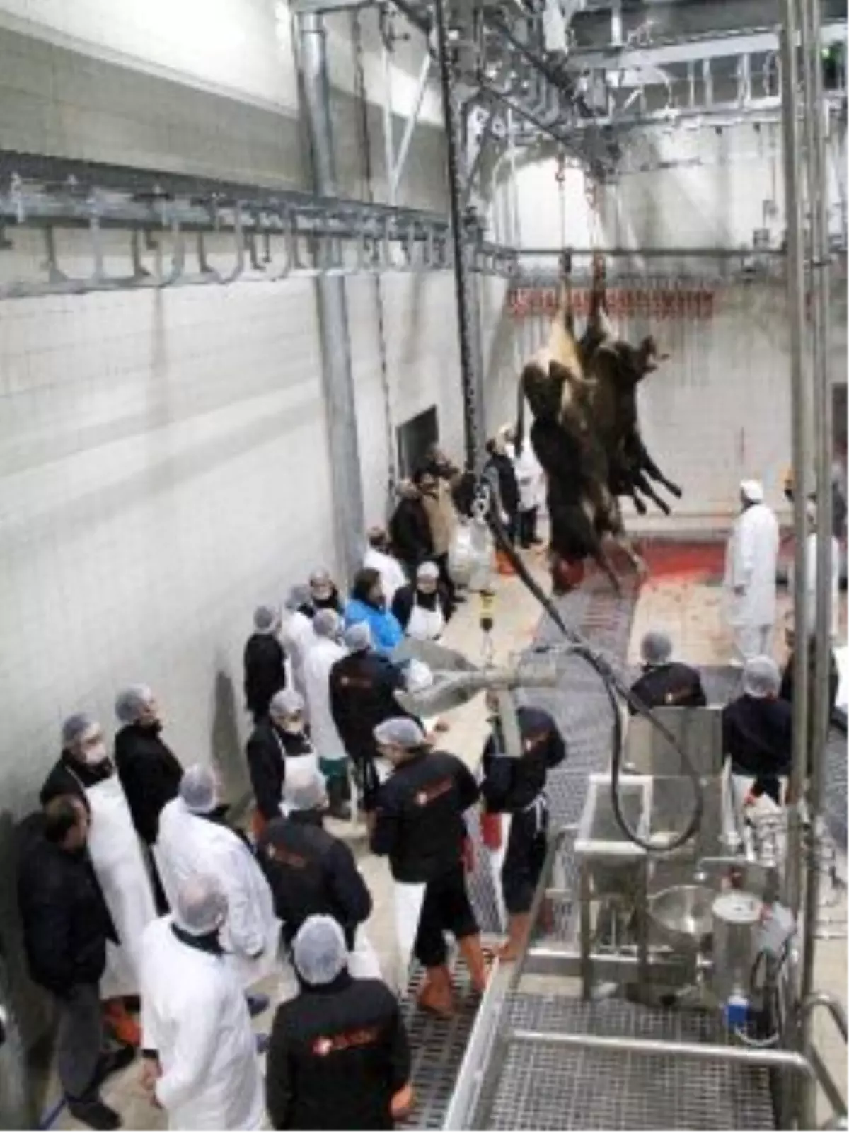 Konya\'ya Yeni Et Entegre Tesisi