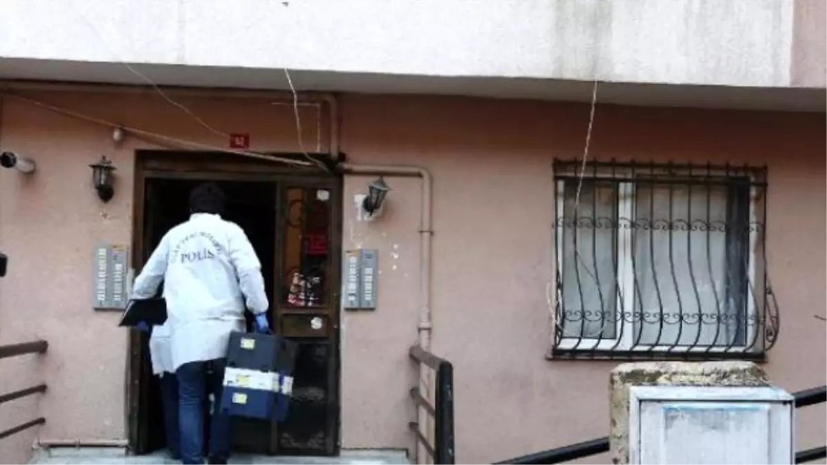 Bodrum Katta Kafasından Vurularak Öldürüldü