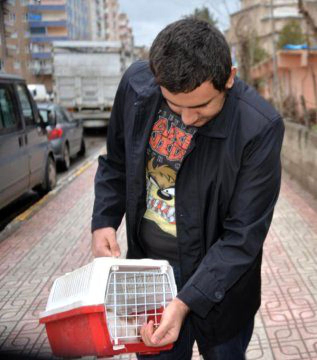 Diyarbakır\'da 20 Gündür Evde Mahsur Kalan Kedi Kurtarıldı