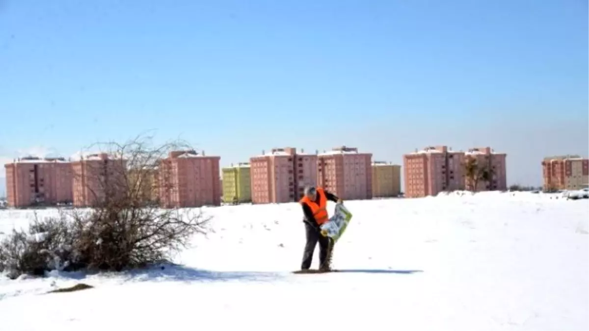 Sokak Hayvanları, Kuşlar ve Yılkı Atları Unutulmadı