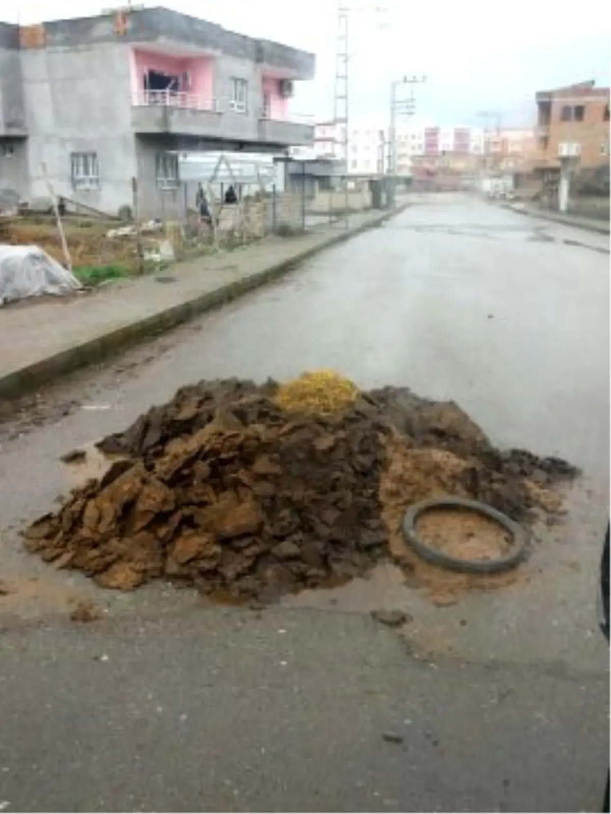 Cadde Ortasına Atılan Tezekler Tepki Topladı