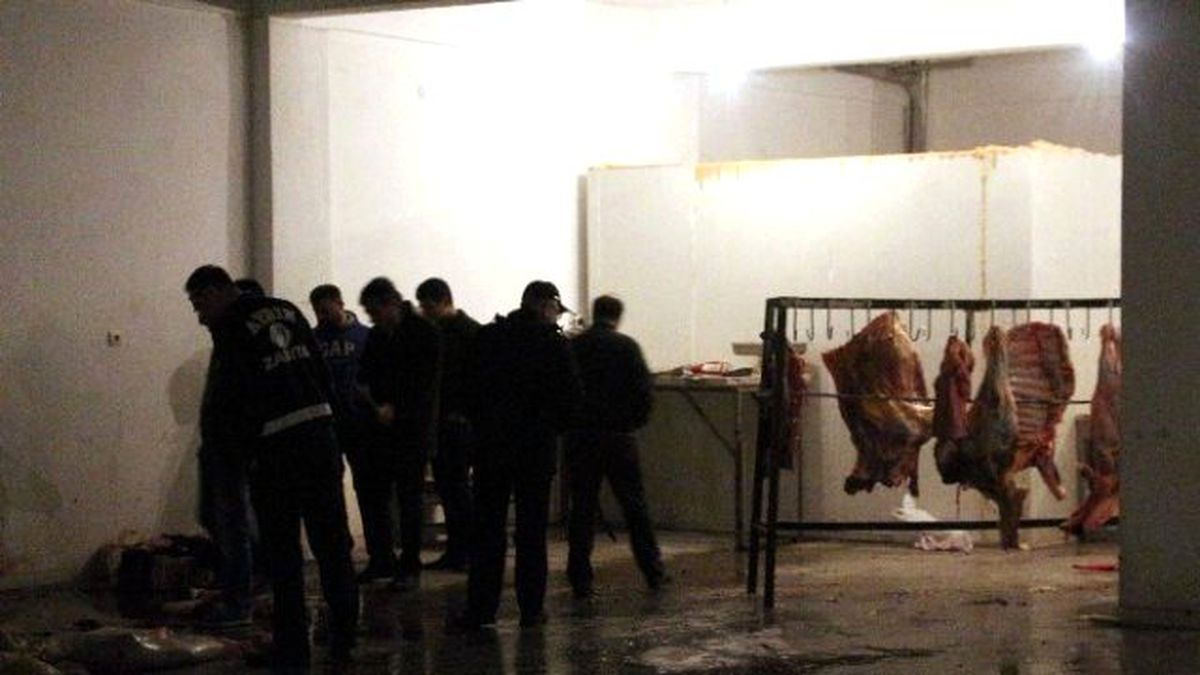 Aydın\'da 250 Kilo Kaçak Kesilmiş Et Ele Geçirildi