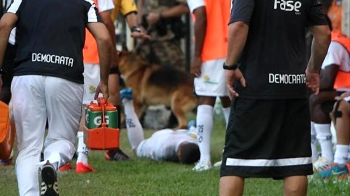 Brezilya\'da Sıradışı Olay! Futbolcuyu Köpek Isırdı