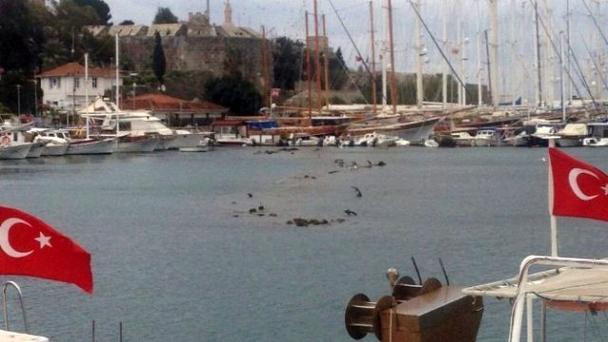 Deniz Çekildi Çapalar Su Üstünde Kaldı