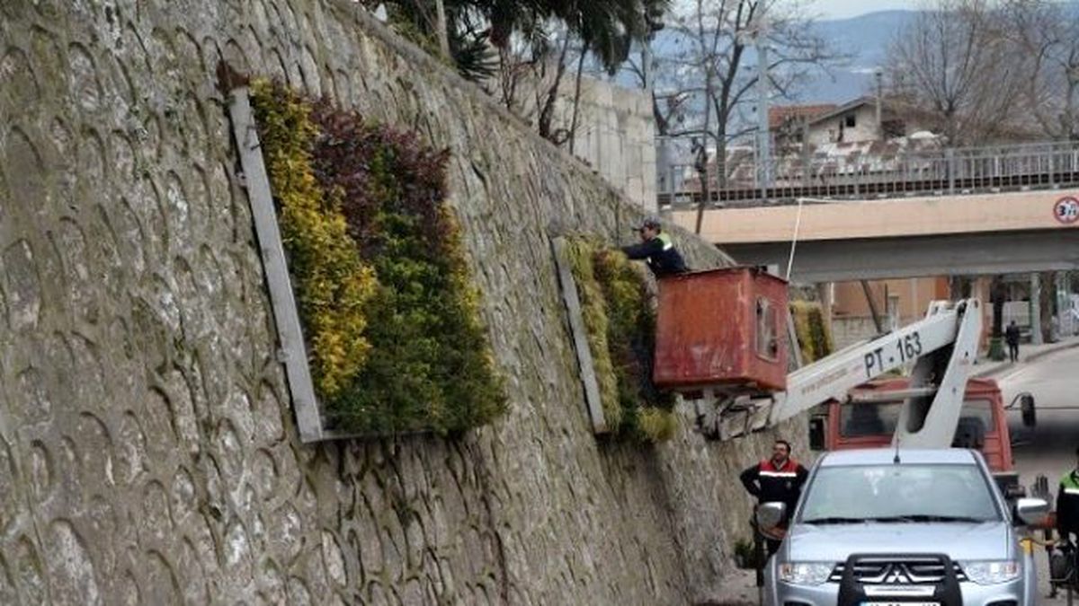 Dikey Bahçeler Körfez\'in Geneline Yayılıyor