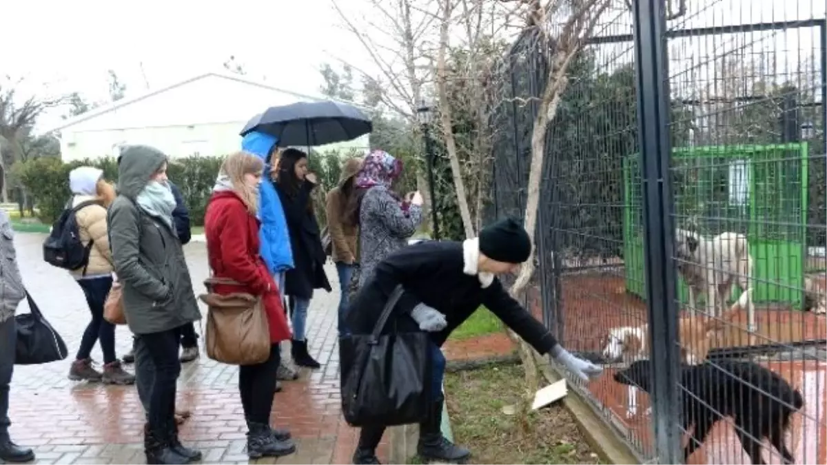 Geleceğin Veteriner Adaylarına Uygulamalı Eğitim