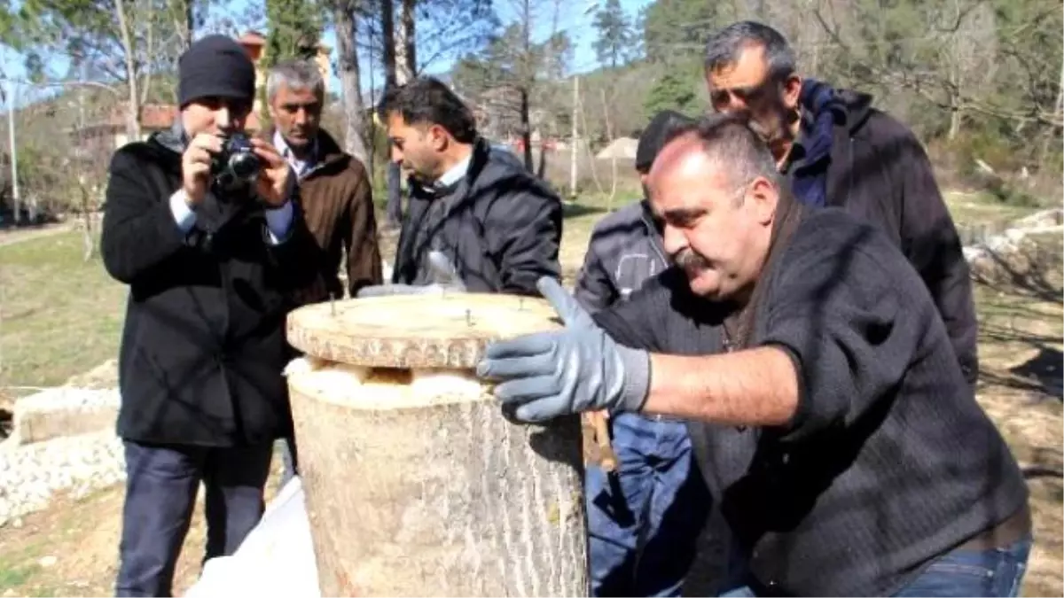 Isparta Mantar Vadisi Oluyor