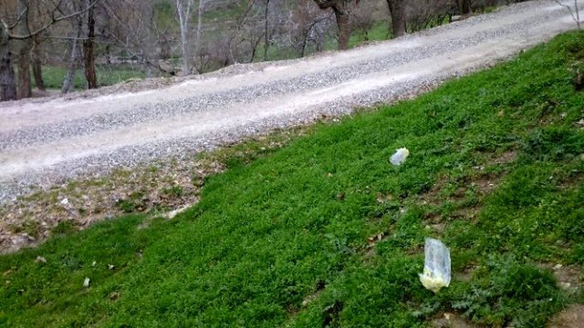 Bebek Cesedinin Bırakıldığı Bölgede Madde Bağımlılarına Ait Poşetler Bulundu