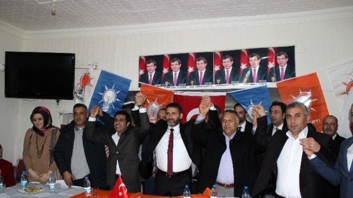 Romanlar Siyasete Giriyor