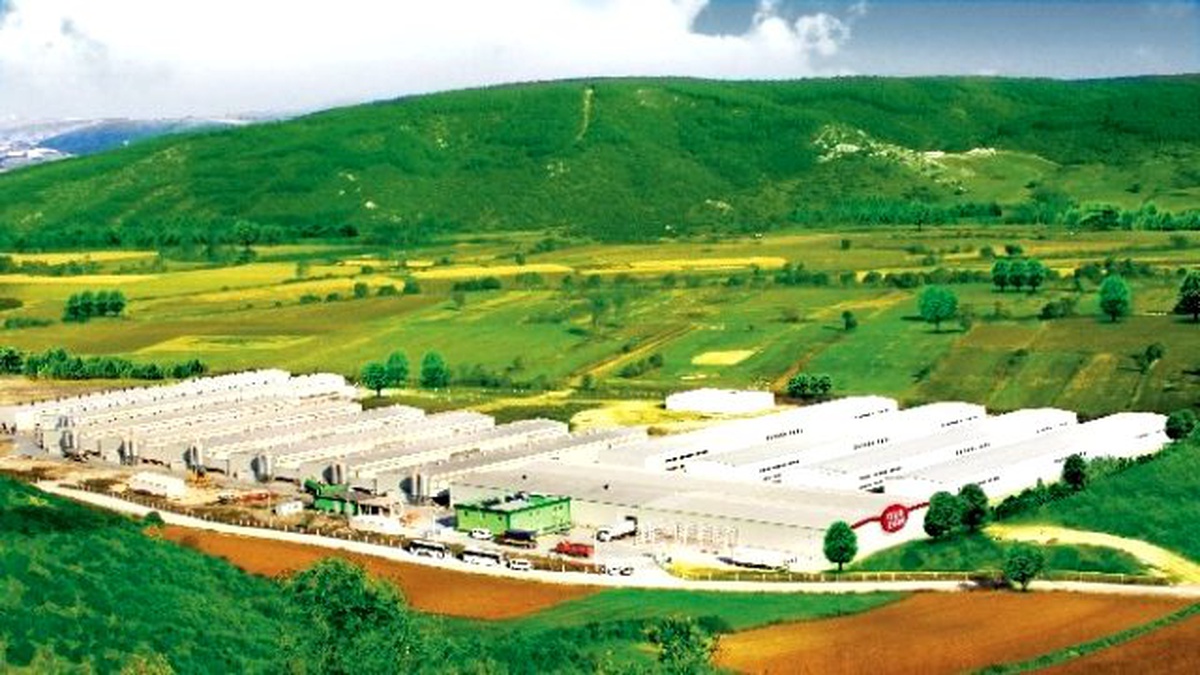 Tüketicilerden "Helal Yumurta"ya Büyük İlgi