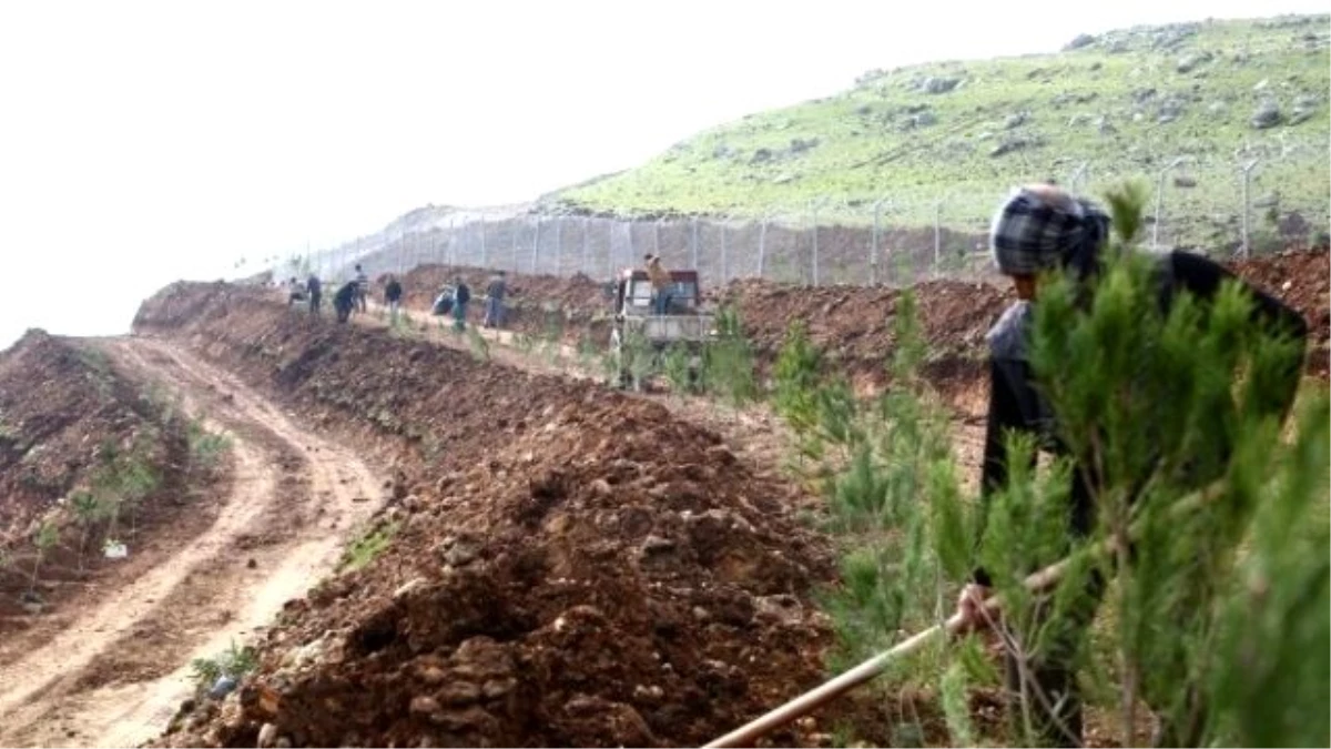 Cizre Belediyesi 18 Bin Metrekare Alan Üzerinde Yeşil Alan Çalışması Başlattı