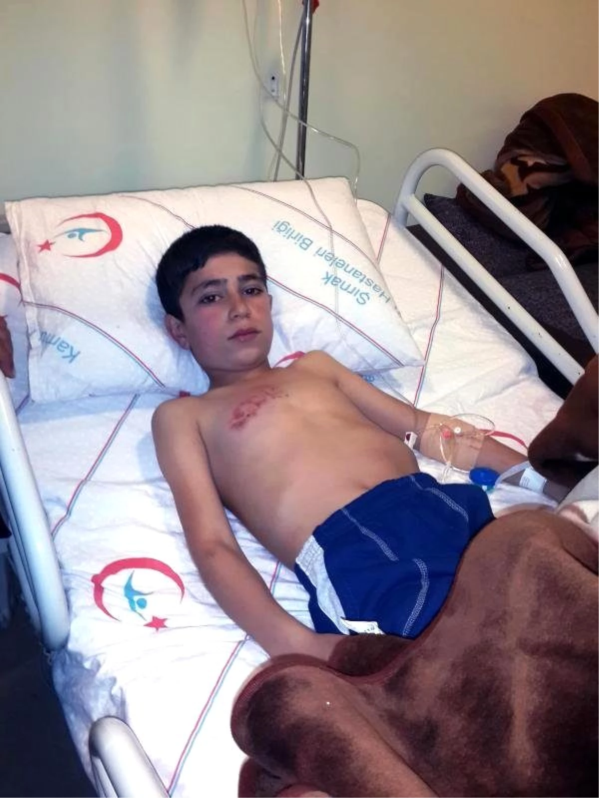Cizre\'de Askeri Araç Taşlanınca Olay Çıktı: 1 Yaralı