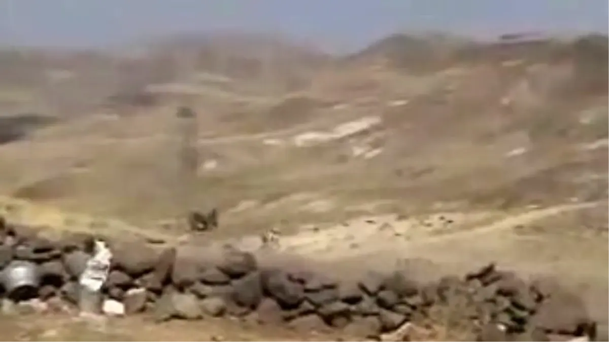 Kangal Dogs Attack To Donkey (+12), Kangal Köpekleri Kangallar Saldırı