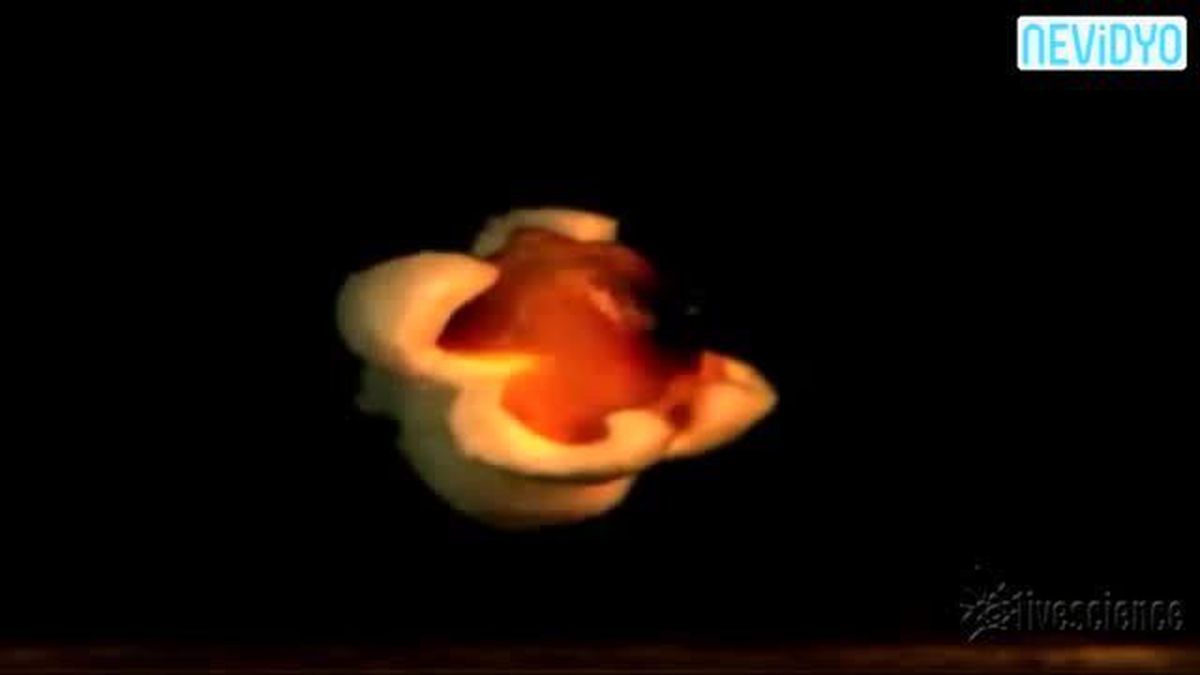 Patlamış Mısır, Nasıl Patlıyor?