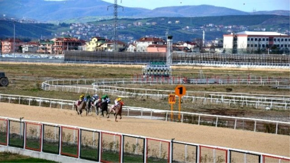 Sapanca Belediyesi Adına Koşu Düzenlendi