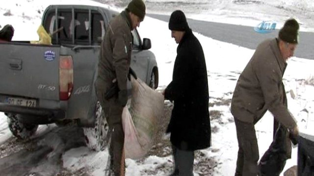 Yabani Hayvanlara 2 Yılda 7 Ton Yem Bırakıldı
