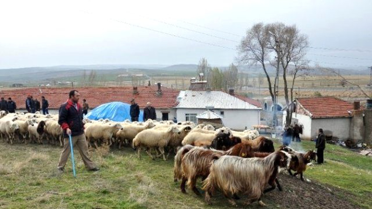 Yozgat\'ta 324 Kişi Sürü Yönetimi Kursuna Katılıyor
