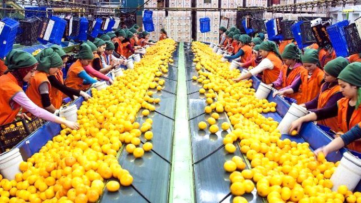 Egeliler, Gıda Sektöründe Ar-Ge ve İnovasyona Önem Veriyor