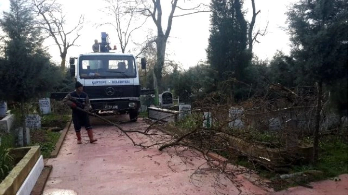 Kartepe Mezarlıklarında Bitki Bakım Çalışması Yapıldı