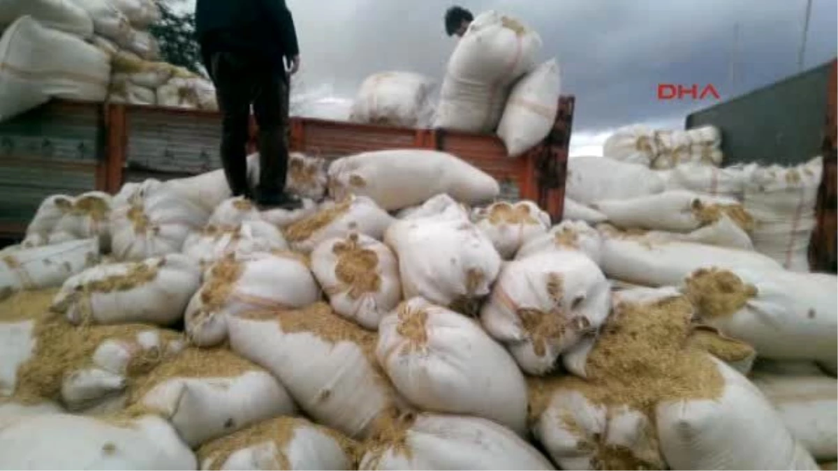 Konya Narkotim, Saman Çuvalları İçinde 60 Kilo Esrar Ele Geçirdi