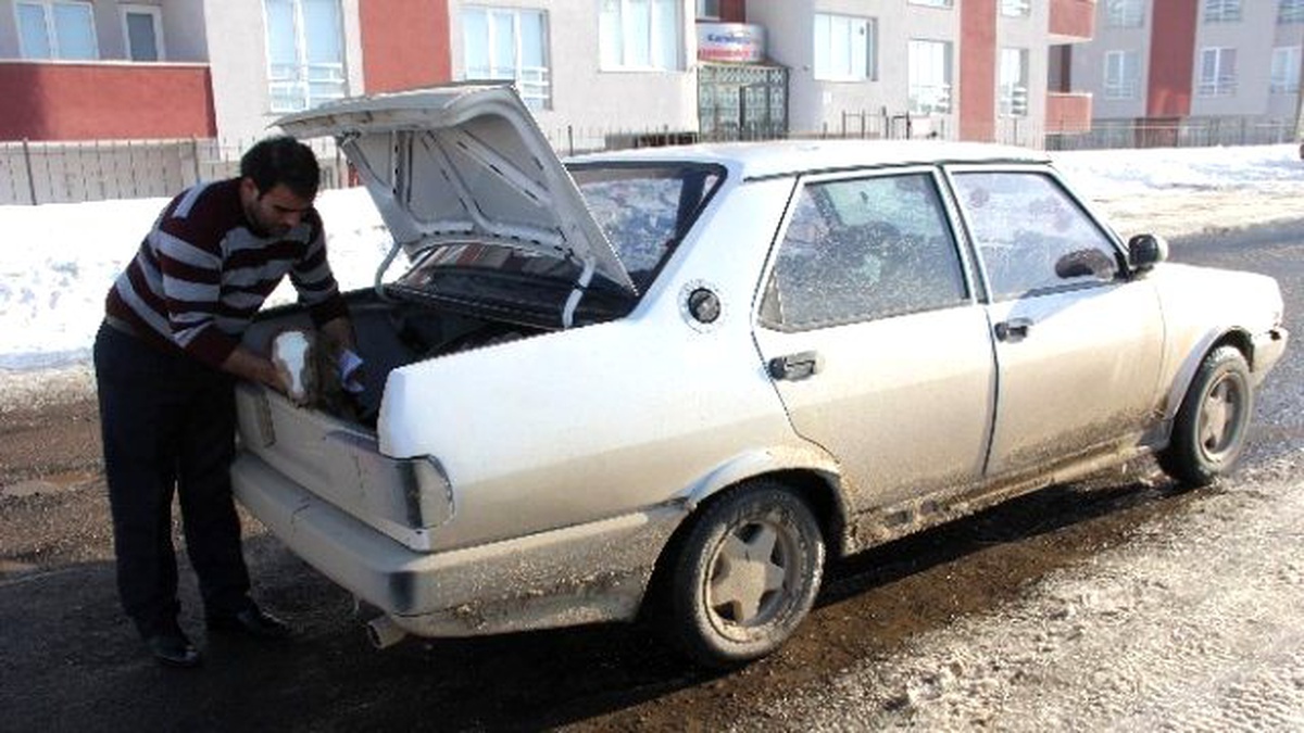 Otomobilin Bagajında Buzağı Telef Oldu İddiası