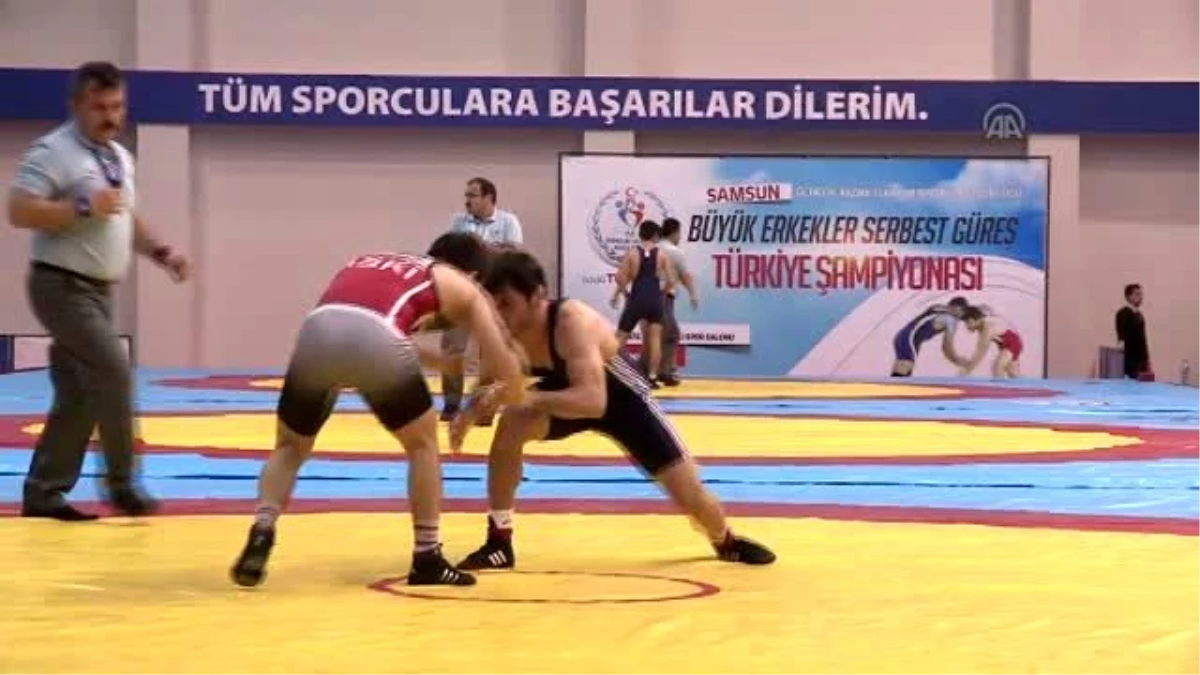 Türkiye Büyük Erkekler Serbest Güreş Şampiyonası