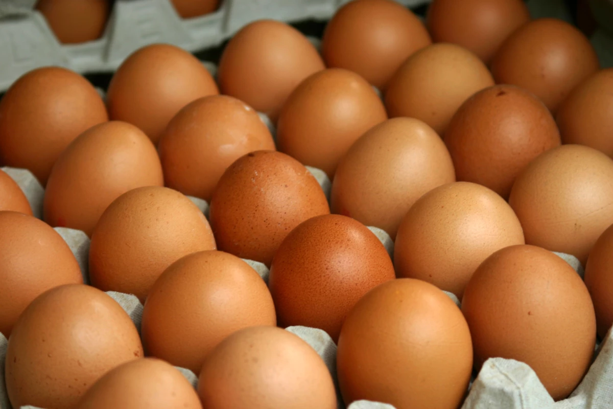 Yumurta İhracatında 4,5 Milyon Dolarlık Artış
