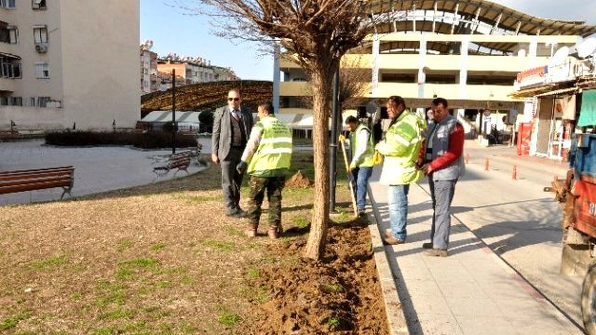 Nazilli Park, Yeşil Alan ve Refüjlerde Bahar Hazırlığı