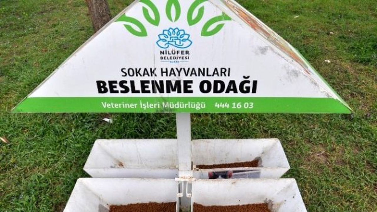 Hırsızlar Bu Kez Köpek Mamalarına Gözünü Dikti
