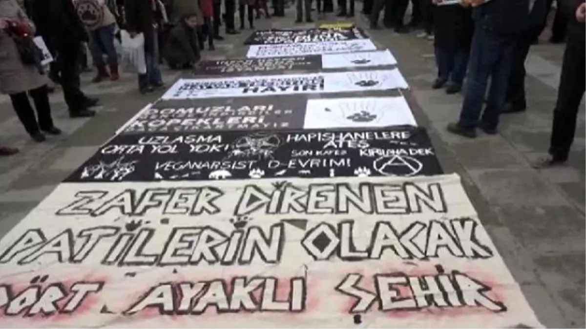 Pendik\'te Yapılacak Hayvan Barınağına Karşı Çıkan Hayvanseverler İbb\'ye Yürüdü