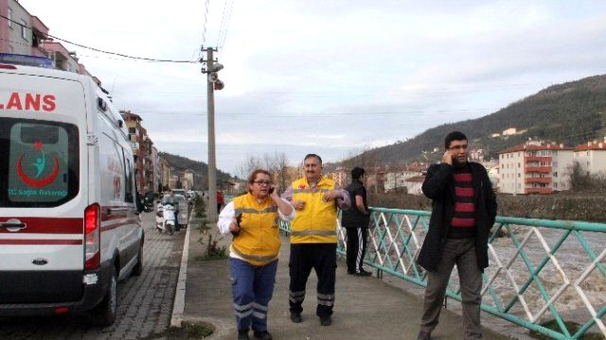 Çaya Atlayan Yaşlı Kadın, Kayboldu