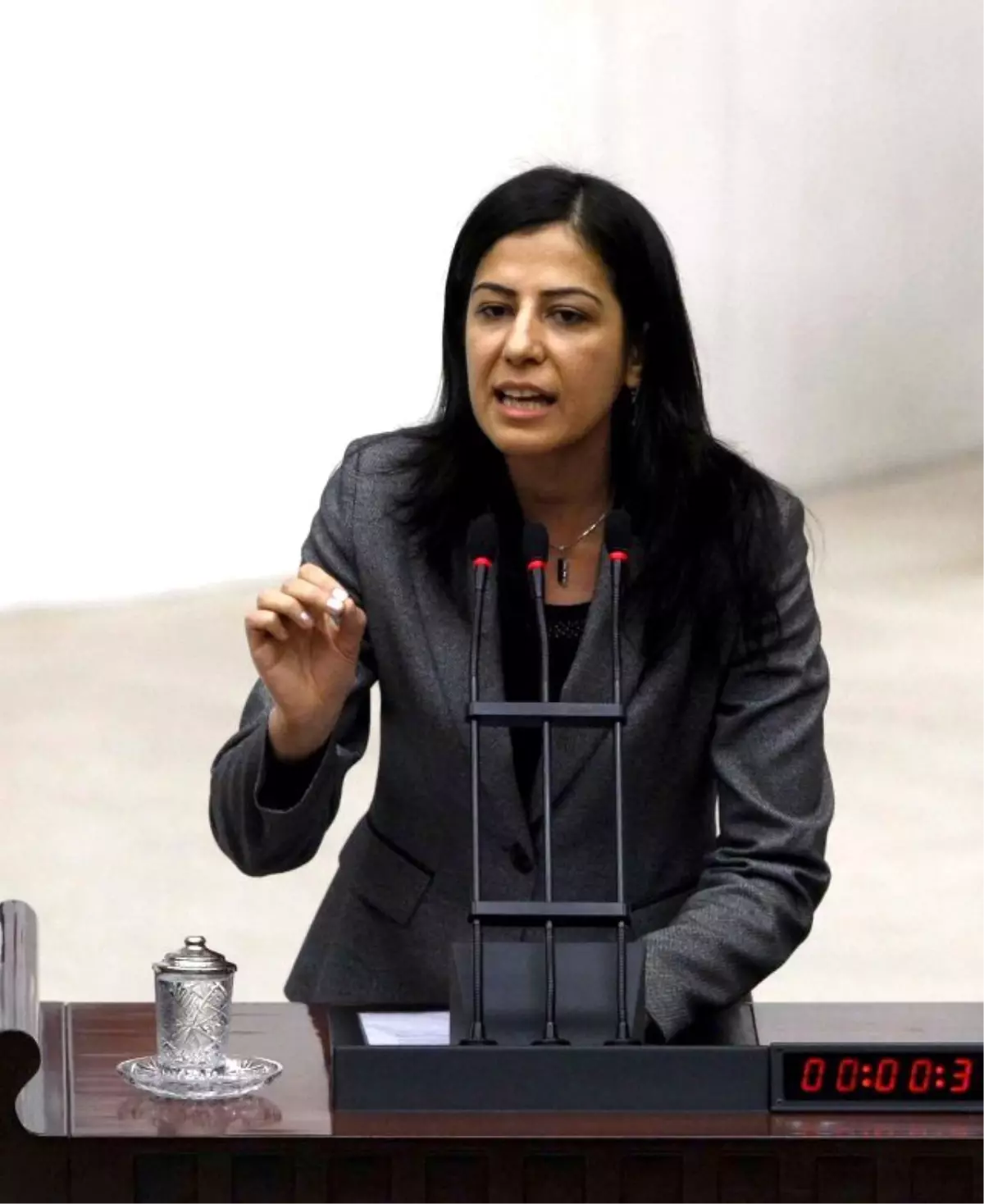 HDP\'li Vekil Ayla Akat Ata\'dan Adalet Bakanlığına Soru Önergesi