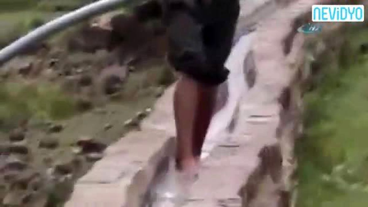 Böyle Sörf Görmediniz