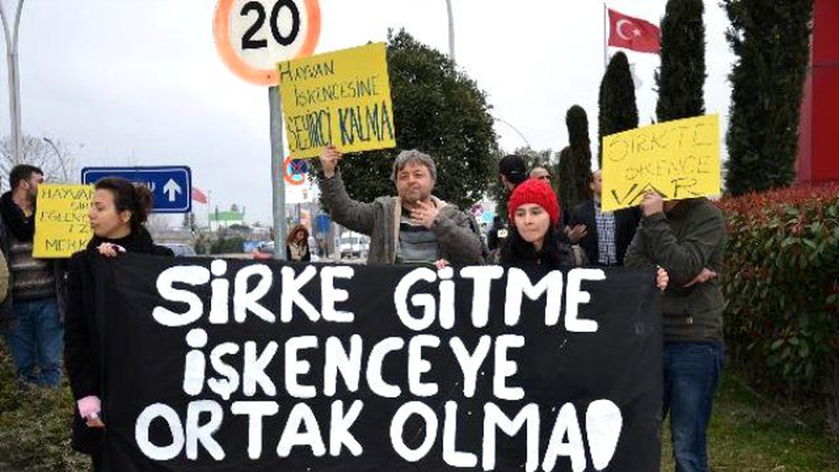 Hayvan Hakları Savunucularından Sirk Tepkisi