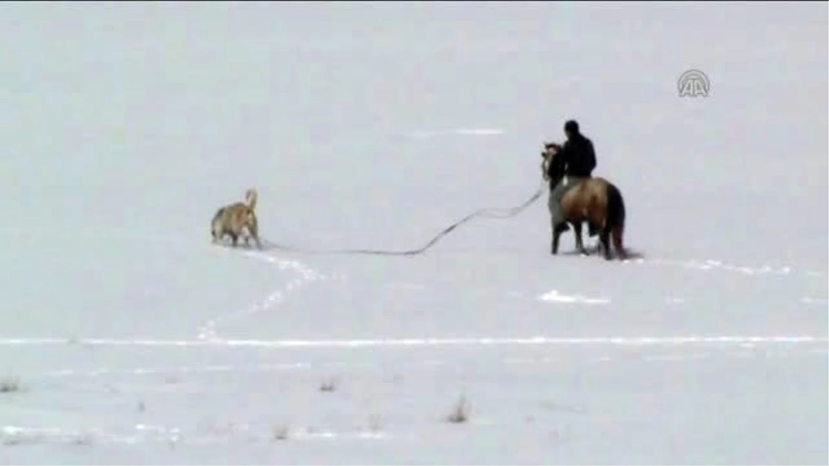 Köpeğin Kar Keyfi