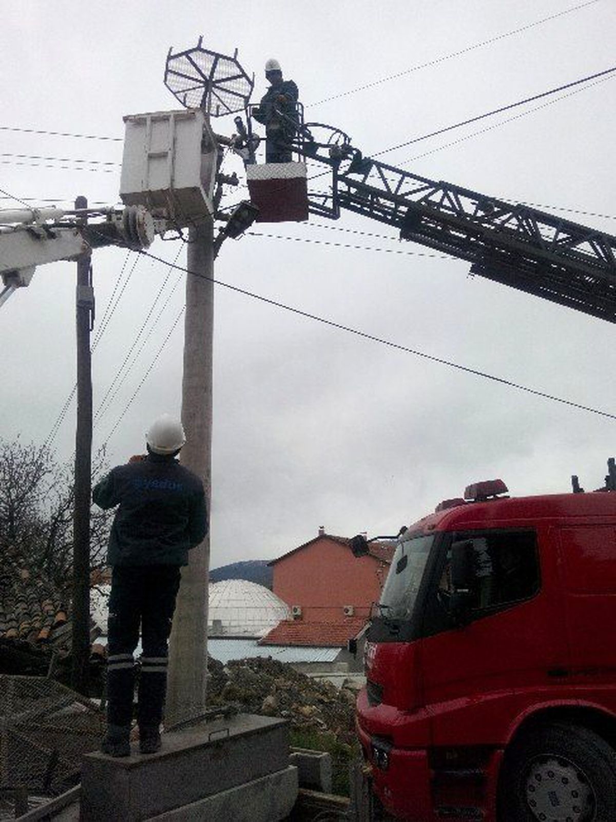 Leylekler İçin Özel Yuva