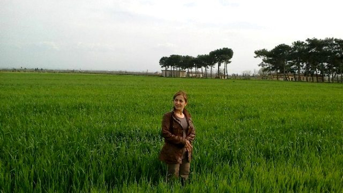 Mazot, Gübre ve Toprak Analizi Desteği Ödemesi Başladı